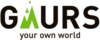 Developer Logo