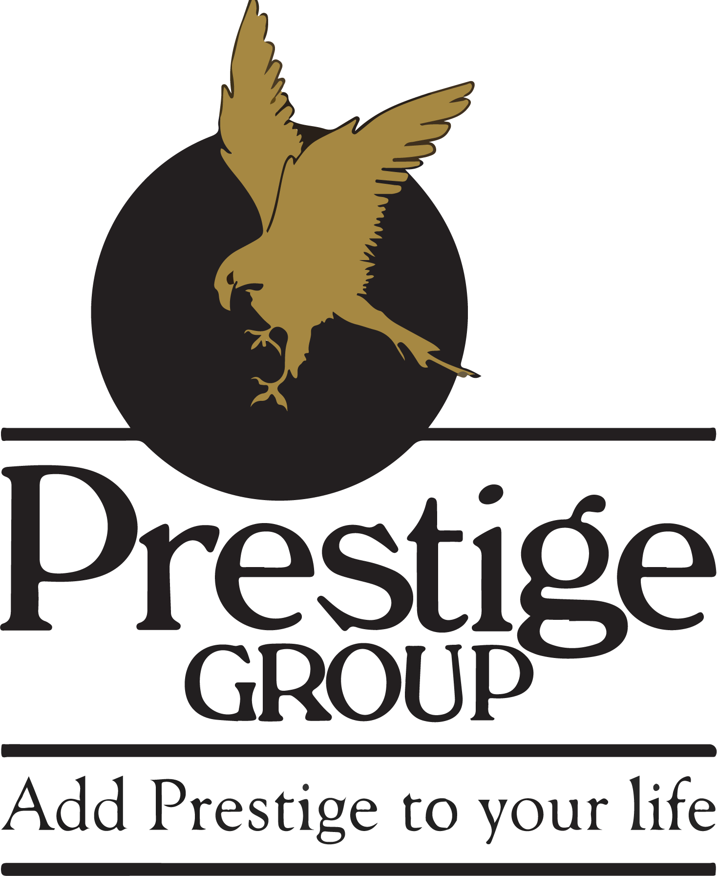 Developer Logo